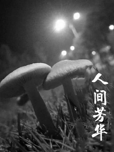 人间芳菲四月天是什么意思